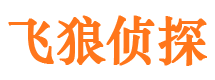 元宝山飞狼私家侦探公司